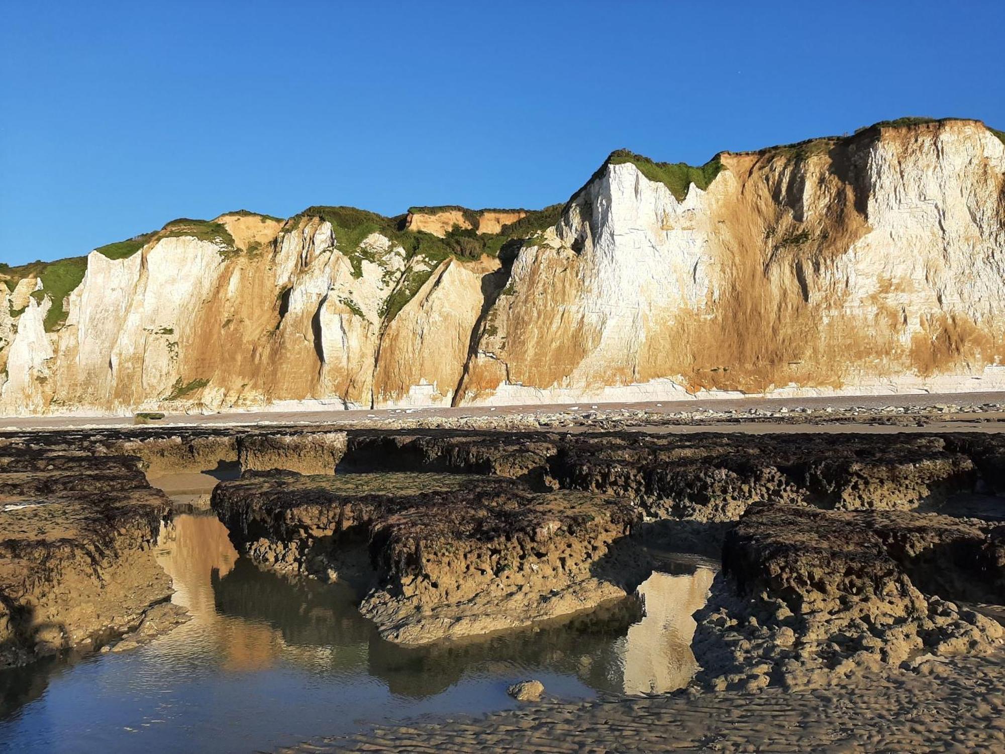 Les Grandes Masures B&B Varengeville-sur-Mer Esterno foto